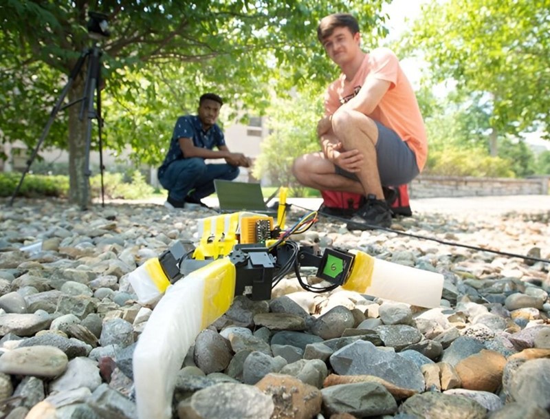 3D Printed Turtle-bot to Aid Hatchlings