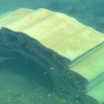 3D Printed Coral Laid Down in Florida Waters