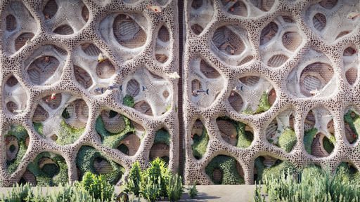 Kind Designs Raises $5M for 3D Printed Living Seawalls
