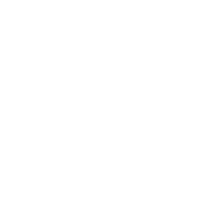 anycubic logo