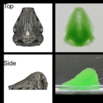 Osaka University Makes Progress in Precision Bioprinting