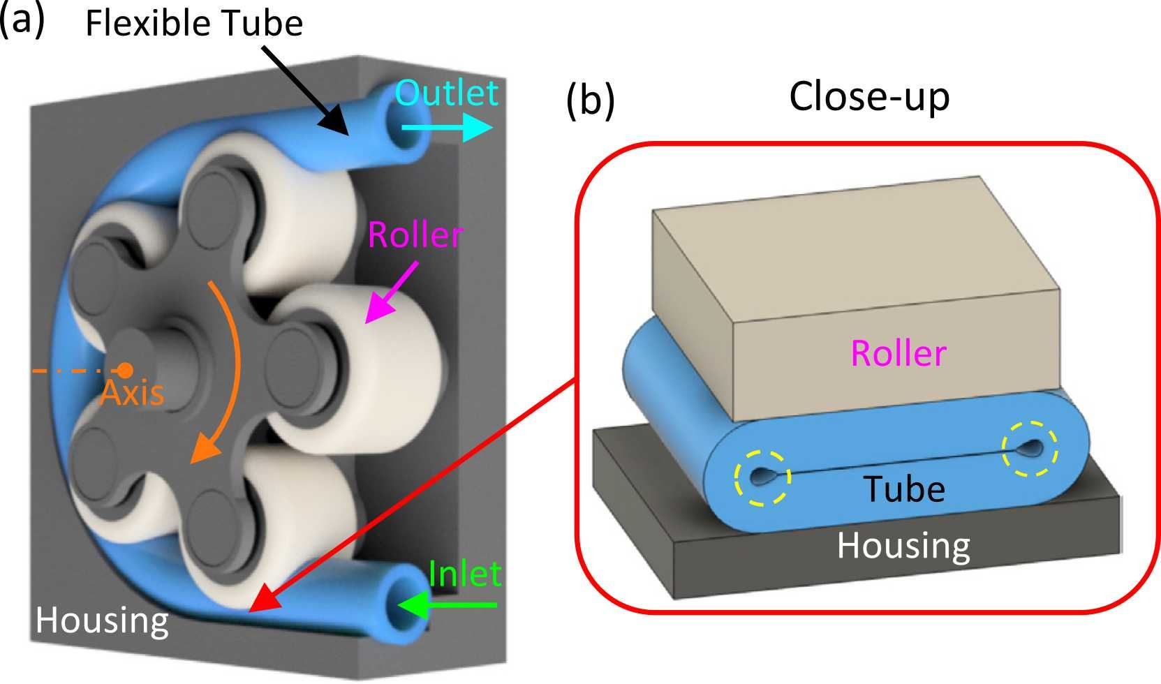 Peristaltic mechanism